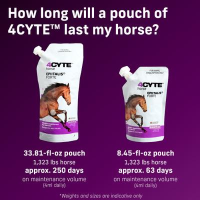 Show full view: 4CYTE Epiitalis Forte Liquid Horse Joint Supplement, 250-mL bottle slide 4 of 8