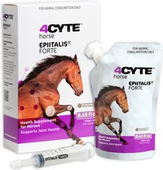 4CYTE Epiitalis Forte Liquid Horse Joint Supplement, 250-mL bottle slide 1 of 7