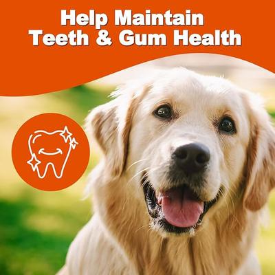 Show full view: Amzey Canine Chews Chicken Grain-Free Jerky Dog Treats, 1.83-lb box, 4 resealable bag slide 6 of 6