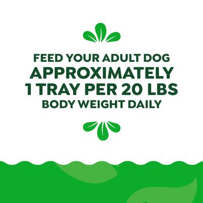 Show full view: Greenies Smart Variety Pack Chicken & Green Beans & Beef & Peas Wet Dog Food Topper, 2-oz tray, case of 16 slide 8 of 10