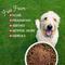 Show in main carousel: Beg & Barker Whole Beef Diabetic Support High Protein Dry Dog Food Topper, 8-oz bag slide 5 of 8