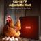Show in main carousel: PetNF Radiant 2 Mounting Options Chicken Coop Heater, 140-watt slide 2 of 8