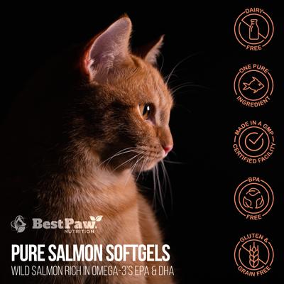 Show full view: Best Paw Nutrition Wild Salmon 500-mg Softgels Skin & Coat Supplement for Small Dogs & Cats, 60 count slide 8 of 10