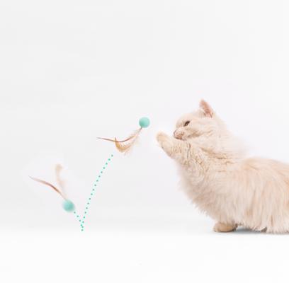 Show full view: Pidan Bouncy Balls Cat Toy, 3 count slide 2 of 6