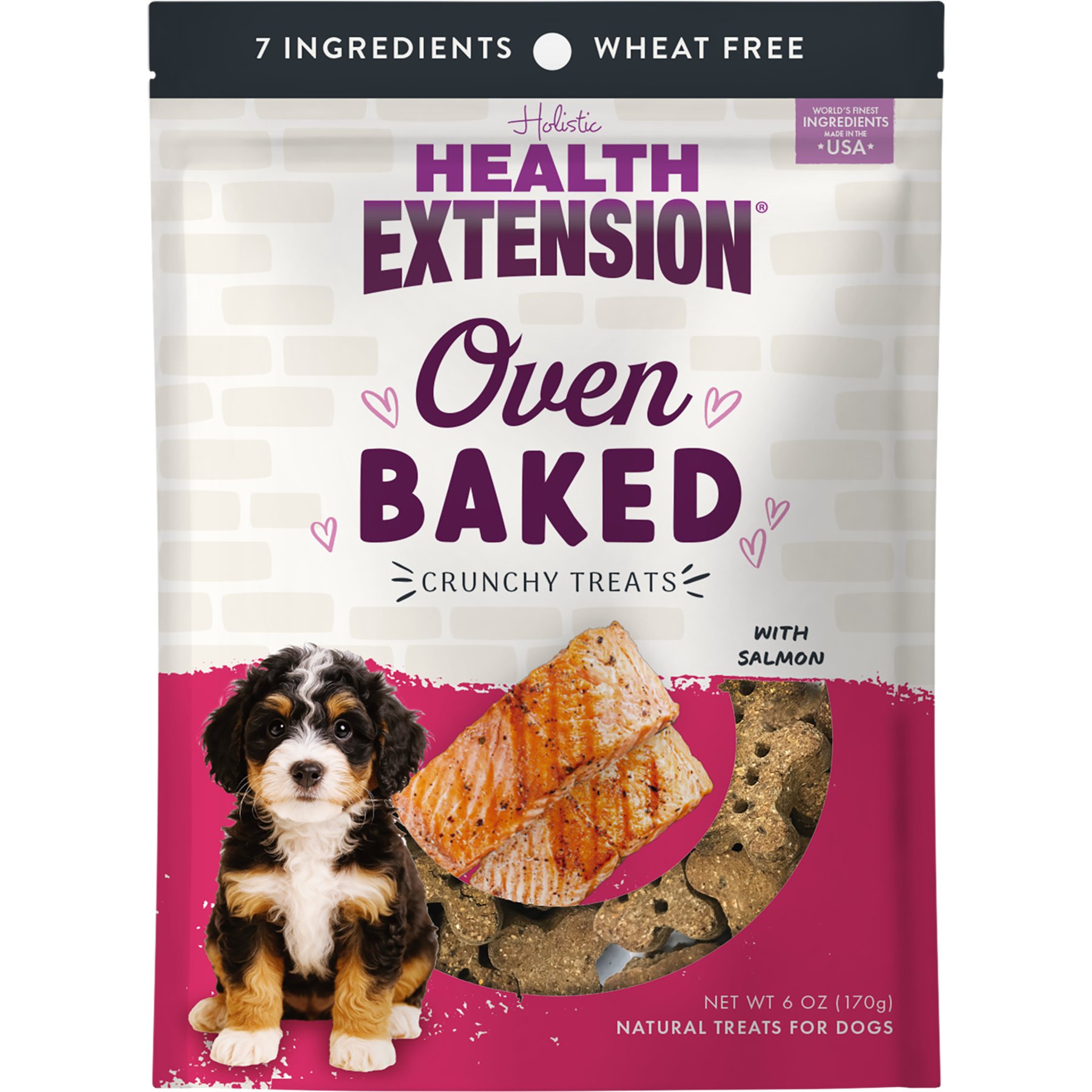 Health Extension Oven Baked Salmon Treats, 6-oz bag