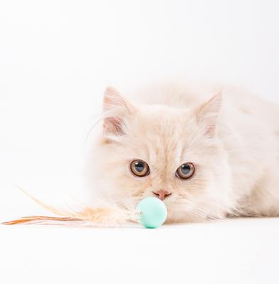 Show full view: Pidan Bouncy Balls Cat Toy, 3 count slide 3 of 6