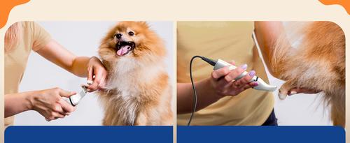 Show full view: OneIsAll Cordless Low Noise N5 Dog Clippers with Double Blades, White slide 10 of 12