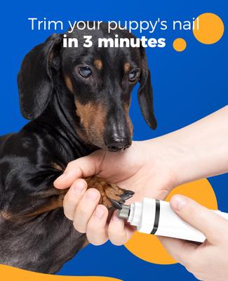 Show full view: OneIsAll N12 4-in-1 Cordless Low Noise Paw Trimmer & Rechargeable Quiet Dog Grooming Kit with 2-Speed Clippers, White slide 6 of 11