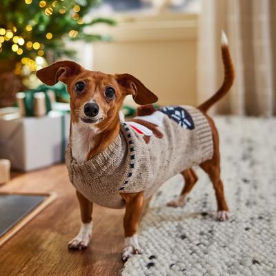 Show full view: Frisco Smiling Reindeer Dog & Cat Sweater, Small slide 7 of 10