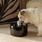 Show in main carousel: Happy & Polly Ghost Non-Skid Ceramic Dog & Cat Water Fountain, Glossy Black, 50-oz slide 4 of 10