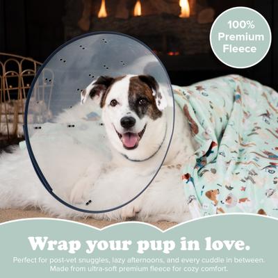 Show full view: Puppington Snuggles Ultra Plush Comfort Throw Blanket, Seafoam Green slide 2 of 6