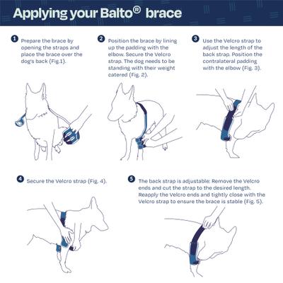 Show full view: Balto Soft Dog Elbow Brace, Large- Left slide 5 of 10