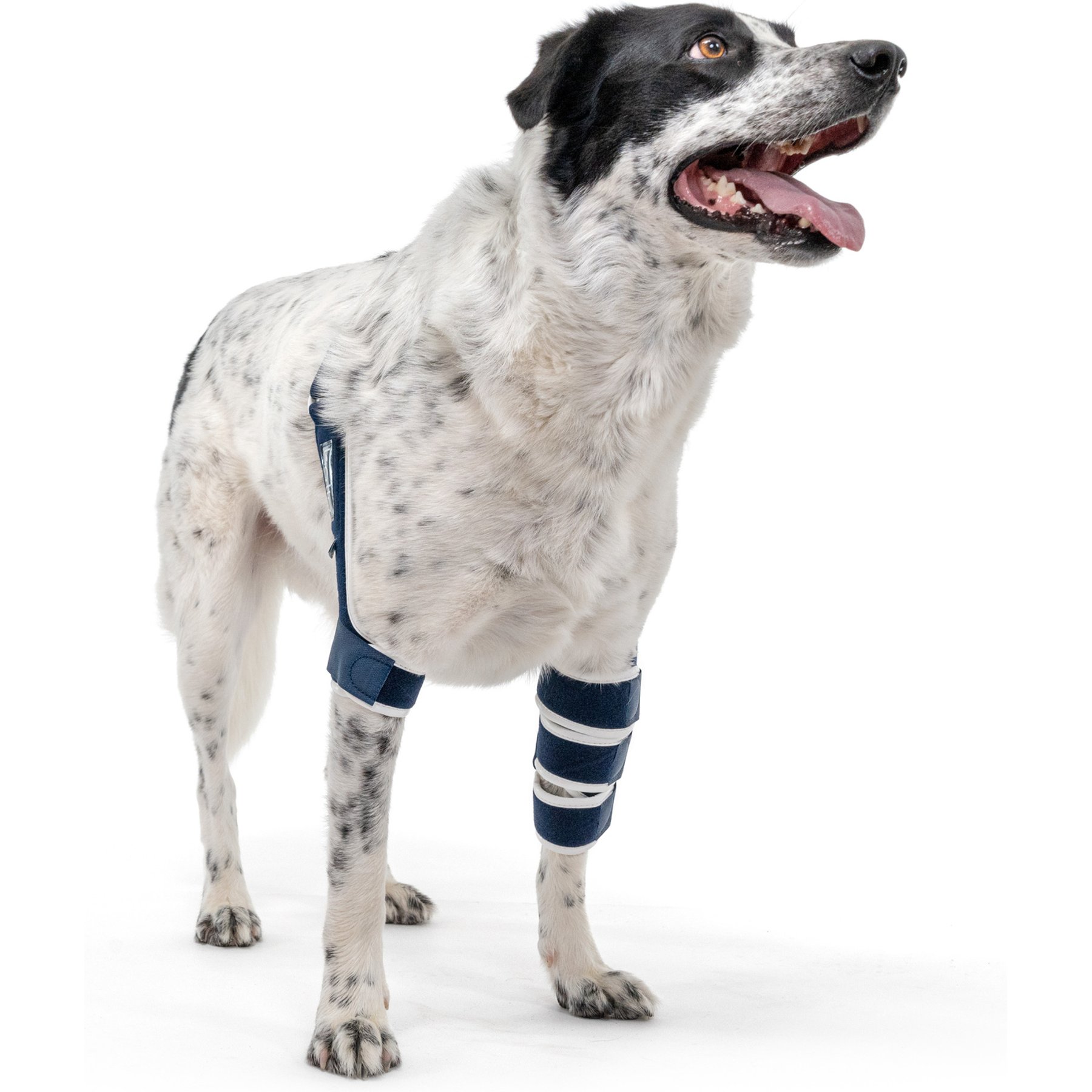 Balto Soft Dog Elbow Brace, X-Large- Left