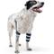 Show in main carousel: Balto Soft Dog Elbow Brace, Large- Left slide 1 of 10