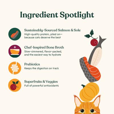 Show full view: Made by Nacho Sustainably Caught Salmon & Sole Recipe Grain-Free Pate Wet Cat Food, 5.5-oz can, case of 6 slide 5 of 8