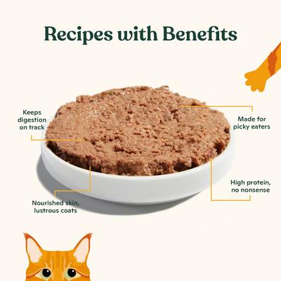 Show full view: Made by Nacho Sustainably Caught Salmon & Sole Recipe Grain-Free Pate Wet Cat Food, 5.5-oz can, case of 6 slide 4 of 8