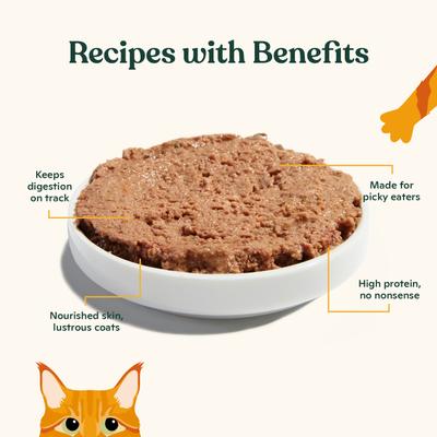 Show full view: Made by Nacho Turkey & Turkey Liver Recipe Grain-Free Pate Wet Cat Food, 5.5-oz can, case of 6 slide 4 of 8