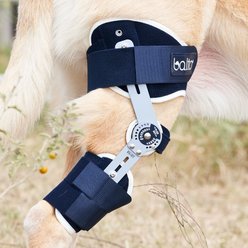 Balto Ligatek Adjustable Hinged Dog Knee Brace, X-Large- Left slide 2 of 8