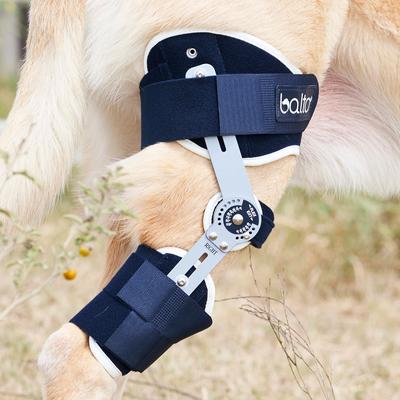 Show full view: Balto Ligatek Adjustable Hinged Dog Knee Brace, Small- Right slide 9 of 9