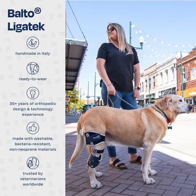 Show full view: Balto Ligatek Adjustable Hinged Dog Knee Brace, Small- Right slide 8 of 9