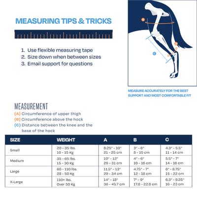 Show full view: Balto Ligatek Adjustable Hinged Dog Knee Brace, Small- Right slide 4 of 9