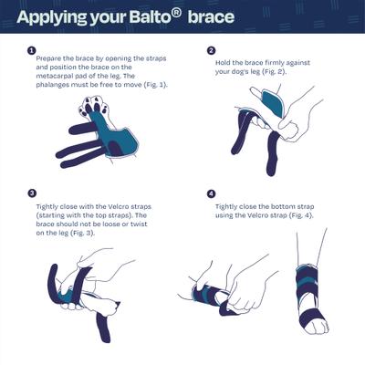 Show full view: Balto Carpal/Tarsal Dog Laxity Splint, XX-Small slide 5 of 9