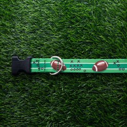 Up Country First Down Nylon Dog Collar, Green, 250 count, Large: 15 to 21-in neck, 1-in wide slide 2 of 2