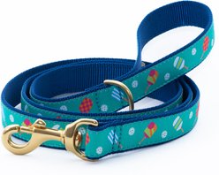 Up Country Pickleball Nylon & Polyester Dog Lead, 250 count, Wide