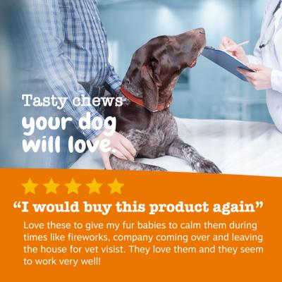 Show full view: Zesty Paws Hemp Elements Calming Bites Turkey Flavored Soft Chews Composure Supplement for Dogs, 90 count slide 7 of 9