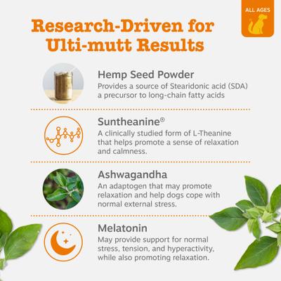 Show full view: Zesty Paws Hemp Elements Calming Bites Turkey Flavored Soft Chews Composure Supplement for Dogs, 90 count slide 4 of 9