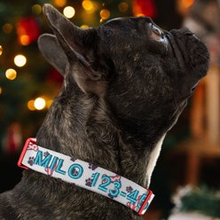 Pawtitas Personalized Christmas Dog Collar, Small, Dog Christmas slide 2 of 7