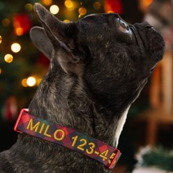 Pawtitas Personalized Christmas Dog Collar, Small, Gift Wrap slide 2 of 7