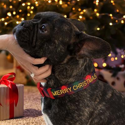Show full view: Pawtitas Personalized Christmas Dog Collar, Medium, Gift Wrap slide 4 of 9