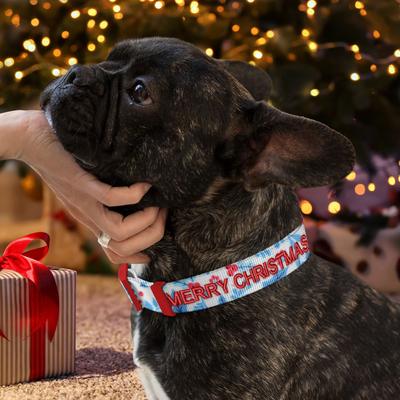 Show full view: Pawtitas Personalized Christmas Dog Collar, X-Small, Teal Mistletoe slide 3 of 8