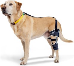 Balto Ligatek Adjustable Hinged Dog Knee Brace, Large- Left
