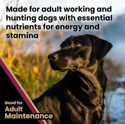 Show full view: VICTOR Realtree Edge Energy High Protein Joint Support Active Sporting Dry Dog Food, 40-lb bag slide 6 of 11