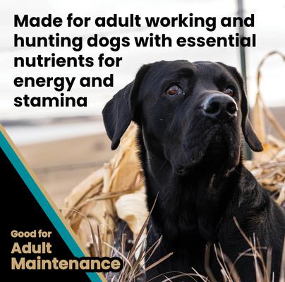 Show full view: VICTOR Realtree Max-5 Pro 30/20 High Protein Joint Support Active Sporting Dry Dog Food, 15-lb bag slide 6 of 11