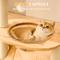 Show in main carousel: Hittite 36-in Solid Wood Cat Tree & Condo, Natural, 23.6 x 15.7 x 36.6-in slide 5 of 9