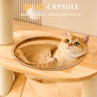 Show full view: Hittite 36-in Solid Wood Cat Tree & Condo, Natural, 23.6 x 15.7 x 36.6-in slide 5 of 9