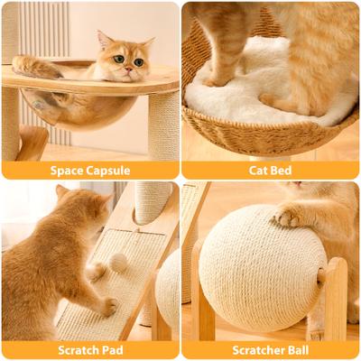 Show full view: Hittite 36-in Solid Wood Cat Tree & Condo, Natural, 23.6 x 15.7 x 36.6-in slide 7 of 9