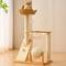 Show in main carousel: Hittite 36-in Solid Wood Cat Tree & Condo, Natural, 23.6 x 15.7 x 36.6-in slide 1 of 9