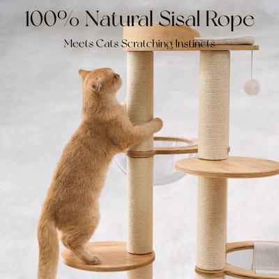 Show full view: Hittite 54-in Solid Wood Cat Tree with Sisal Scratching Posts, Capsule & Hammock, Natural, 23.62 x 23.62 x 53.54-in slide 7 of 10