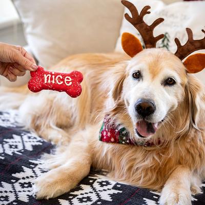 Show full view: Wufers Naughty, Nice, I Tried! Christmas Bones Cinnamon, Apple & Honey Cookie Dog Treats, 2.6-oz box, 3 count slide 8 of 11