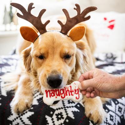 Show full view: Wufers Naughty, Nice, I Tried! Christmas Bones Cinnamon, Apple & Honey Cookie Dog Treats, 2.6-oz box, 3 count slide 6 of 11