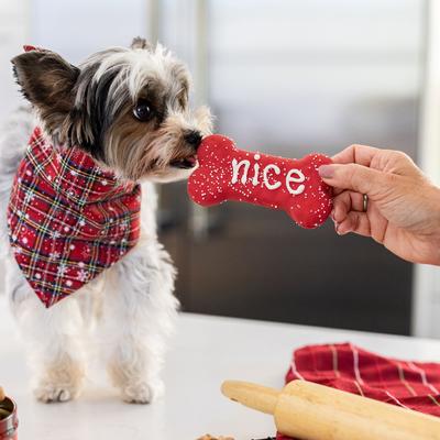 Show full view: Wufers Naughty, Nice, I Tried! Christmas Bones Cinnamon, Apple & Honey Cookie Dog Treats, 2.6-oz box, 3 count slide 4 of 11