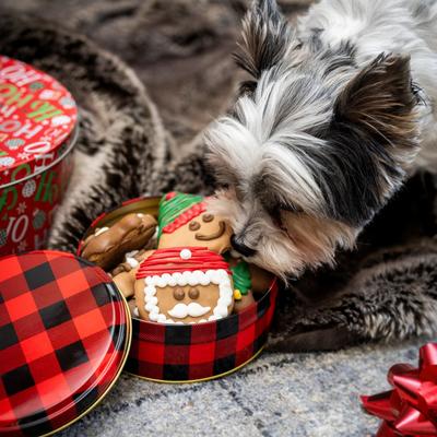 Show full view: Wufers Santa’s Silly Crew 12 Days of Christmas Fun Holiday Cinnamon, Apple & Honey Cookie Dog Treats, 12.28-oz box, 12 count slide 6 of 10