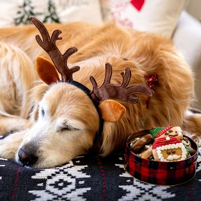 Show full view: Wufers Santa’s Silly Crew 12 Days of Christmas Fun Holiday Cinnamon, Apple & Honey Cookie Dog Treats, 12.28-oz box, 12 count slide 5 of 10