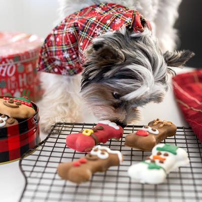 Show full view: Wufers Santa & Reindeer Christmas Bones Cinnamon, Apple & Honey Cookie Dog Treats, 3.46-oz box, 4 count slide 5 of 9