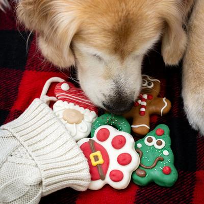 Show full view: Wufers Christmas Festive Holiday Cinnamon, Apple & Honey Cookie Dog Treats, 17.39-oz box, 10 count slide 5 of 11