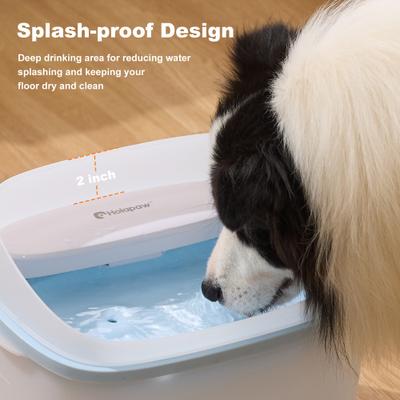 Show full view: HOLAPAW Dog Water Fountain, Blue, 8-l slide 6 of 9